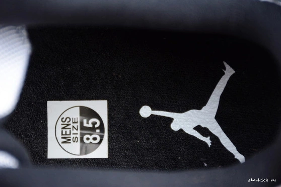  528895-153 Jordan 11 Retro Concord Low 528895-153 1001